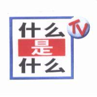 什麼是什麼 TV & Device