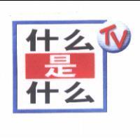什麼是什麼 TV & Device