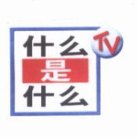 什麼是什麼 TV & Device