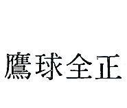 正全球鷹