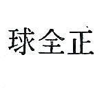 正全球
