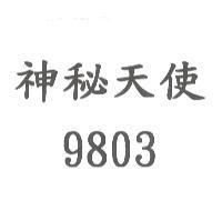 神秘天使 9803