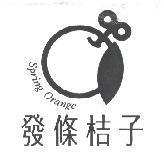 發條桔子 SPRING ORANGE 及圖