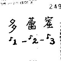 多蕾蜜 1 2  