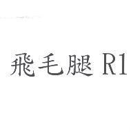 飛毛腿 R1