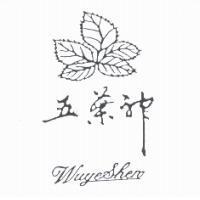 五葉神 WuyeShen 及圖