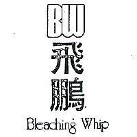 飛鵬 BLEACHING WHIP