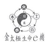 金太極生命 e 機 劉霖及圖