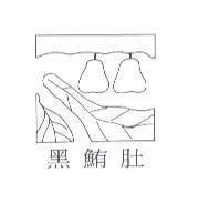 黑鮪肚及圖