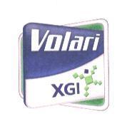 Volari 及 XGI 圖