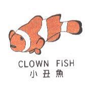 小丑魚 CLOWN FISH 及圖