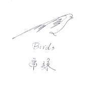 帛絲, Birds 及圖