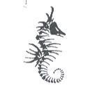 海馬標章圖