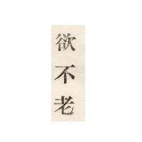 欲不老