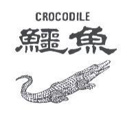 鱷魚及圖 CROCODILE