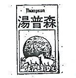 湯普森及圖 THOMPSON 
