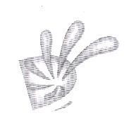 迪生遠距教學股份有限公司標章