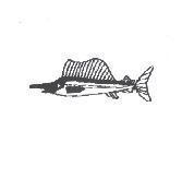 魚圖