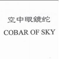 空中眼鏡蛇 COBAR OF SKY