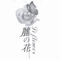 麗 の 花及 LIFLOWER 及圖