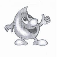 洪文賢標章