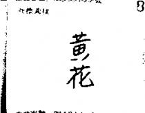 黃花