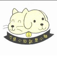 不是小狗就是小貓及圖