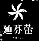 迪芬蕾及圖 TIFANY 