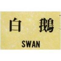 白鵝 SWAN