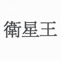 衛星王