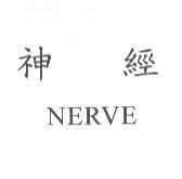 神經 NERVE