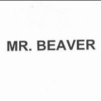 MR. BEAVER