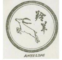 羚羊及圖 ANTELOPE