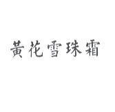 黃花雪珠霜