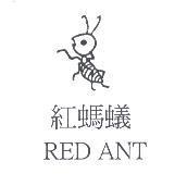 紅螞蟻 RED ANT 及圖