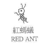 紅螞蟻 RED ANT 及圖