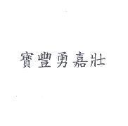 寶豐勇嘉壯