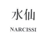 水仙 NARCISSI