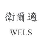 衛爾適 WELS