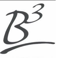 B3 design