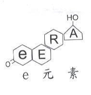 eERA 及圖 e 元素