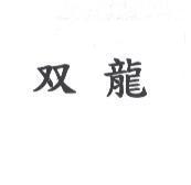 双龍