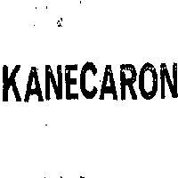 鐘淵佳龍 KANECARON 