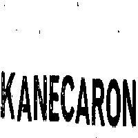 鐘淵佳龍 KANECARON 