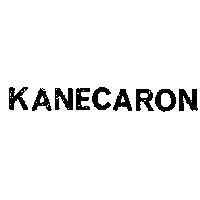 鐘淵佳龍 KANECARON 