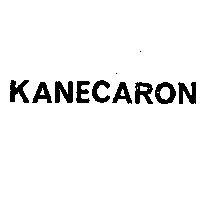 鐘淵佳龍 KANECARON 