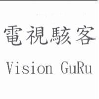 電視駭客 Vision GuRu