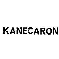 鐘淵佳龍 KANECARON 