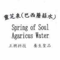 靈芝泉