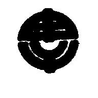 雷虎